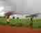 This image for Image Layouts addon